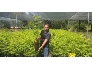 Himalayalar’dan Trabzon’a