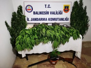 Bandırma’da uyuşturucu operasyonu