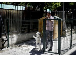 Bakan Selçuk'un sahiplendiği "Pergel" eğitimcilere emanet