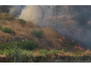 Tarihi Balıklıgöl’de anız yangını