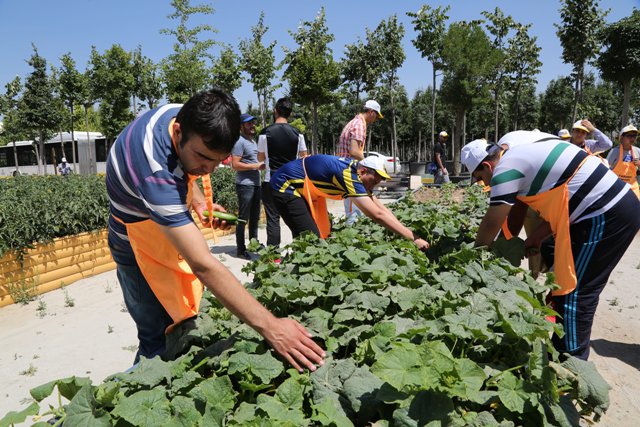 Özel öğrencilerin hasat sevinci