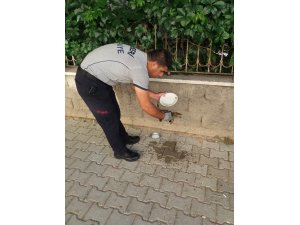 Aracın motor kısmına giren yavru kediyi itfaiye ekipleri çıkardı