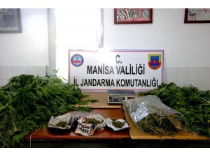 Uyuşturucu üreten baba-oğula jandarma baskını