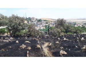 Yıldırımın düştüğü mezarlıkta yangın çıktı