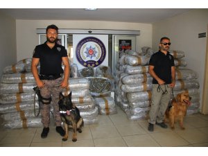 Muğla’da 50 milyon liralık uyuşturucu ele geçirildi