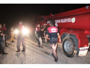 Bodrum’daki yangın büyümeden sündürüldü