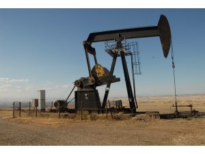 ABD petrol fiyatı tahminini düşürdü