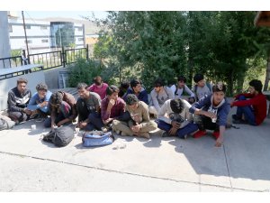 Sivas'ta 15 düzensiz göçmen yakalandı