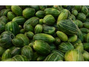 Viranşehirlilerden "şelengo" için patent başvurusu