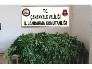 Çanakkale’de uyuşturucu operasyonu