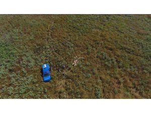 Kayıp koyunları jandarma drone ile buldu