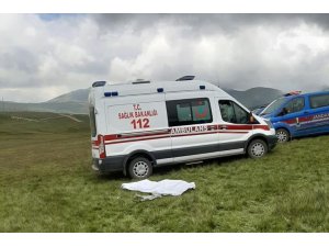 Yaşlı adam hayvanlarını beklerken öldü