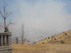 Adıyaman’da orman yangını