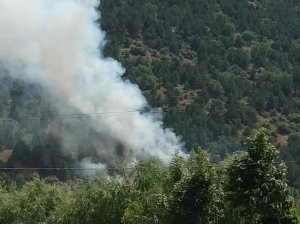 Afyonkarahisar’ın Çay ilçesindeki orman yangını kontrol altına alındı
