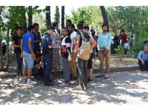 Ayvalık’ta 51 Afgan mülteci yakalandı