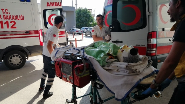 Balkonda can pazarı... Alev alan elektrik kablosu üzerine düştü...