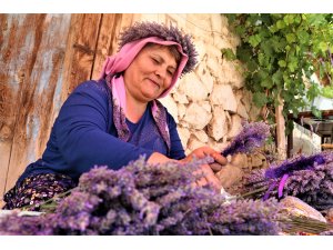 Kuyucaklı kadınların ekmek kapısı "lavanta"
