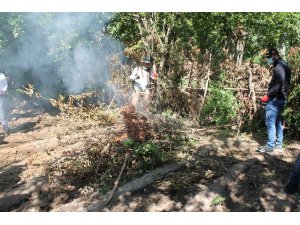 Hevsel bahçelerindeki uyuşturucu operasyonu tamamlandı