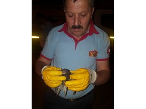 Çatıya sıkışan ebabili itfaiye kurtardı