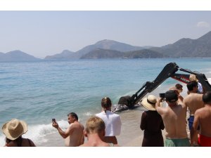 Muğla'da ölü balina kıyıya vurdu