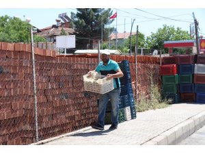 Konsantre kayısıda fiyat 90 kuruş oldu