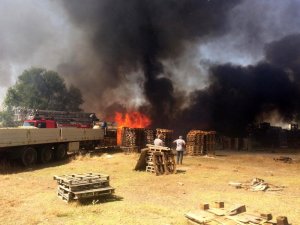 Ot yangını palet fabrikasına sıçradı