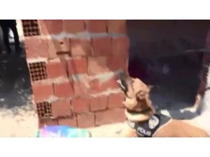 Uyuşturucu evi Fırtına’ya yakalandı