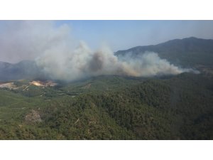 Muğla'da orman yangını