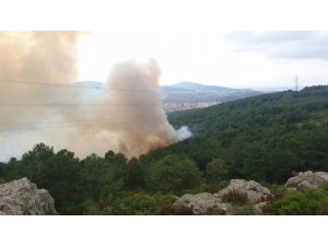 Aydos ormanında korkutan yangın