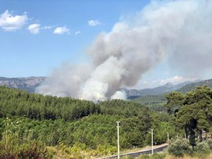 Dalaman’da orman yangını