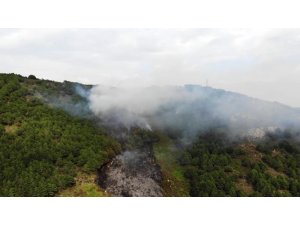 Aydos ormanında çıkan yangın havadan görüntülendi