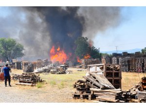 Manisa'da palet fabrikasında yangın