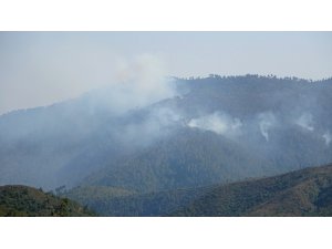 Suriye sınırındaki orman yangını devam ediyor