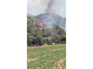 Dalaman’daki yangının ilk çıkış anının fotoğrafları ortaya çıktı