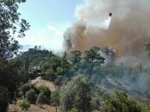 Muğla'daki orman yangınında 34 ev tahliye edildi