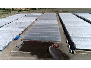 Ahıskalılar seradan ilk mahsulü aldı