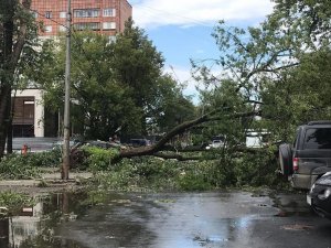Rusya’daki kasırga birkaç dakikada felakete yol açtı