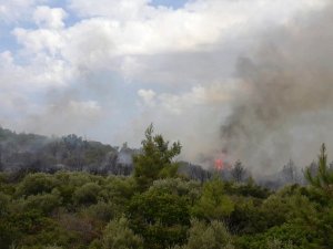 Muğla’da yeni bir orman yangını evleri tehdit ediyor