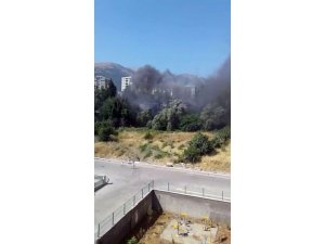 Zeytinlikte çıkan yangın korkuttu