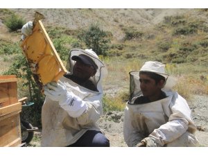 Bal üretimi bu sene yüzde 150 artacak