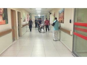 Kamyonetten düşen sunta yayanın ayağını kırdı