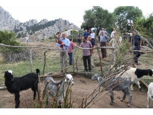 Başkan Esen’den hayvancılığa destek  sözü