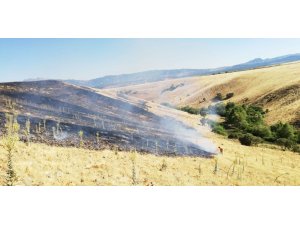 Bingöl’deki  yangınlar söndürüldü