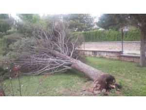 Fırtına Avanos'ta hayatı olumsuz etkiledi