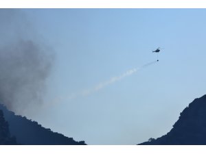 Muğla'daki orman yangını