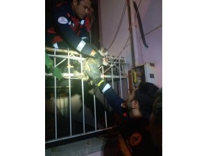 Korkuluklara saplanan kediyi itfaiye kurtardı