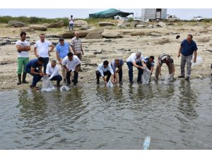 Manisa’daki baraj gölü ve göletlere 100 bin balık bırakıldı