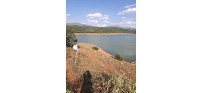 Konya'da göl ve göletlere 206 bin yavru sazan bırakıldı