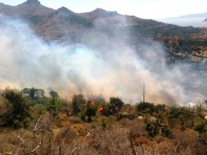Bodrum’da başlayan yangın yerleşim yerlerini tehdit ediyor