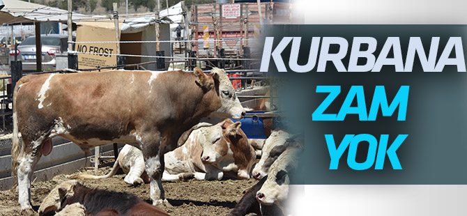 Kurbanlık fiyatlarına zam yok